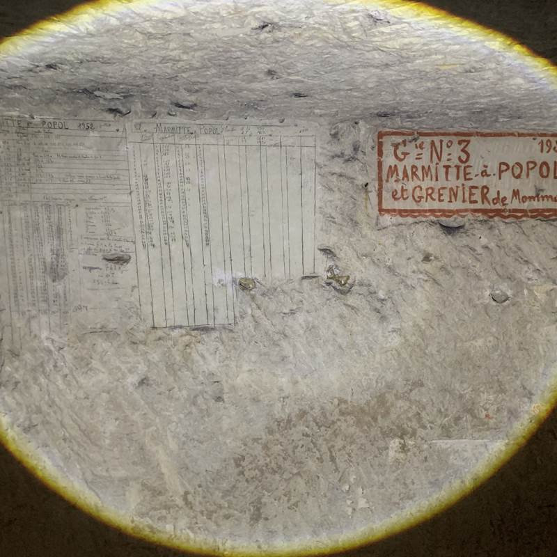 inscriptions champignonnière-galerie