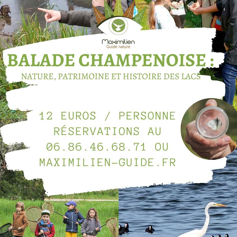 Balade champenoise