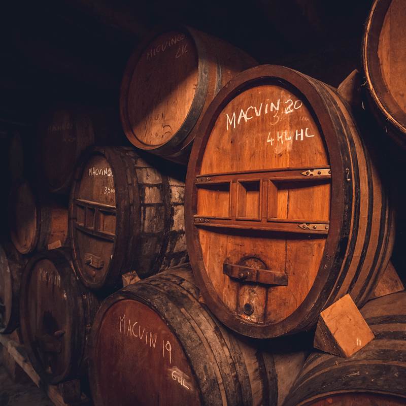 DOMAINE BAUD Génération 9 18 octobre 21 BD (8)