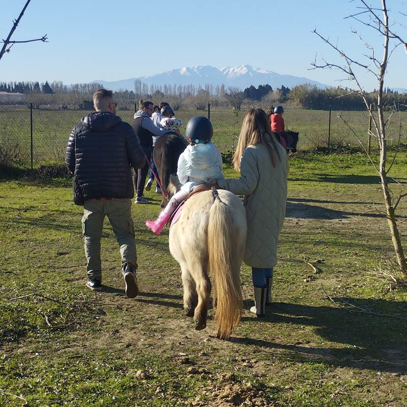 balade à poney Pyrénées-Orientales  promenade poney 66  activité enfant Pyrénées-Orientales  poney club 66  centre équestre Pyrénées-Orientales  balade à cheval 66  activité famille Pyrénées-Orientales  équitation enfant 66  balade à poney près de Perpignan  balade à poney bompas, claira, toreilles, barcares, canet en roussillon, sainte marie, Thuir, Pézilla, elne, cabestany, rivesaltes, saint estève-galerie