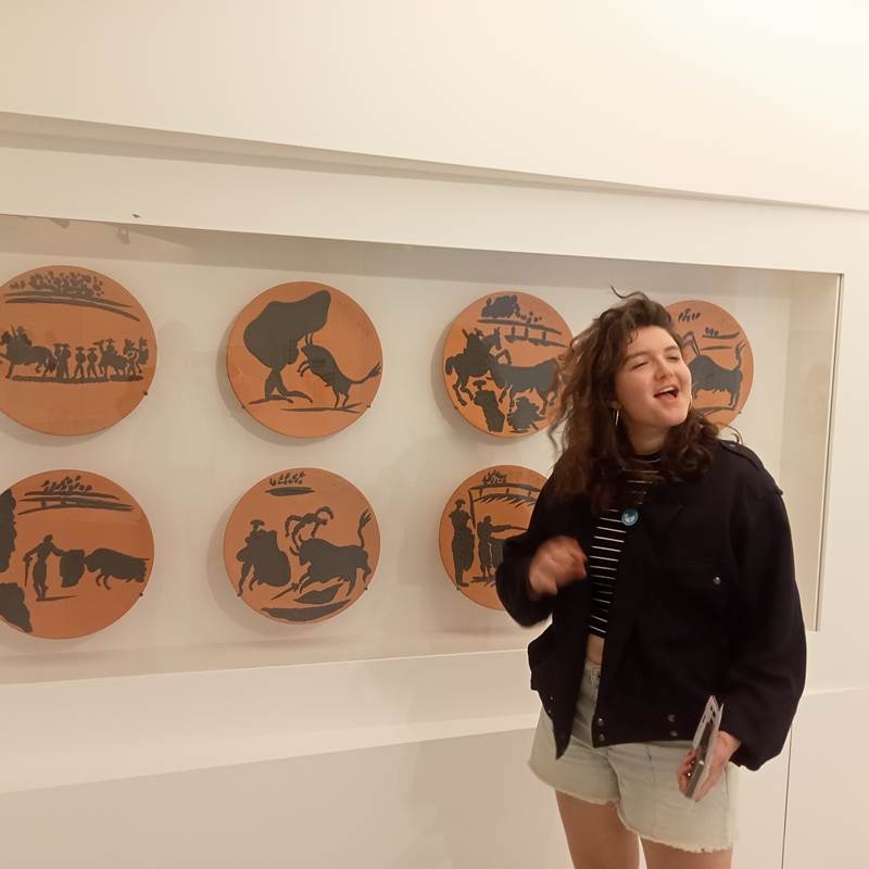 Le Mas Palegry chambres d'hôtes Perpignan - A 35 minutes du Musée d'Art Moderne de Céret