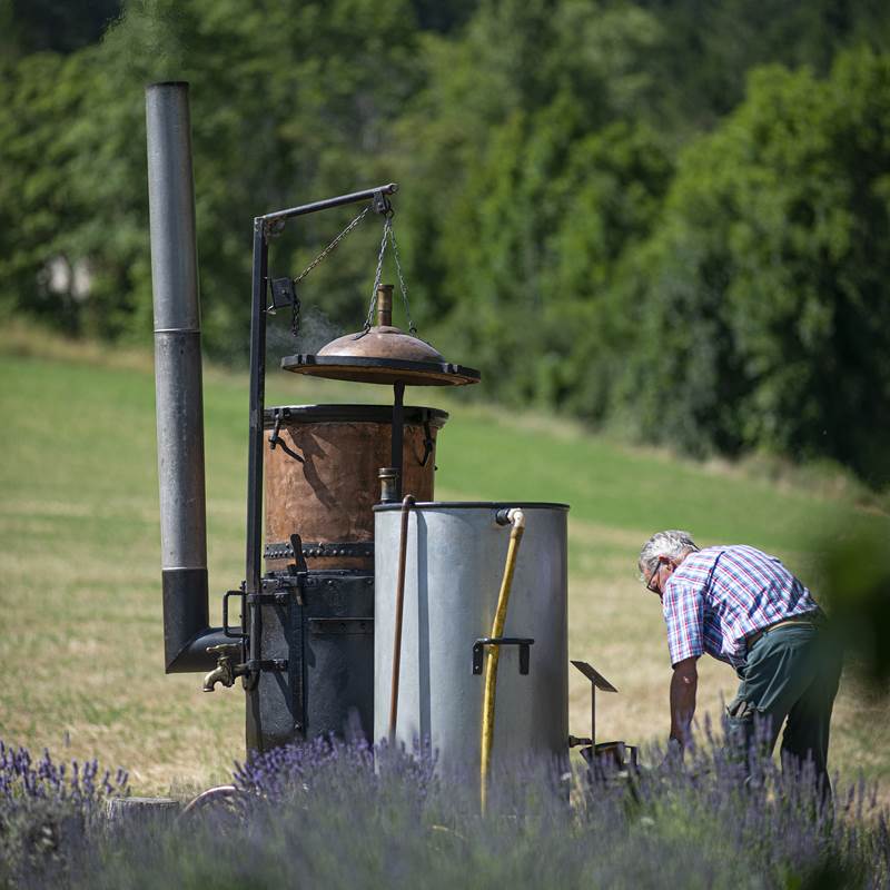 Distillation à l'ancienne