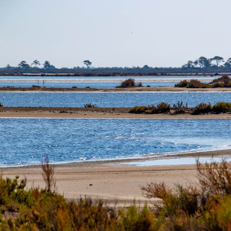 stationbee's-locations-velos-aigues-mortes-galerie