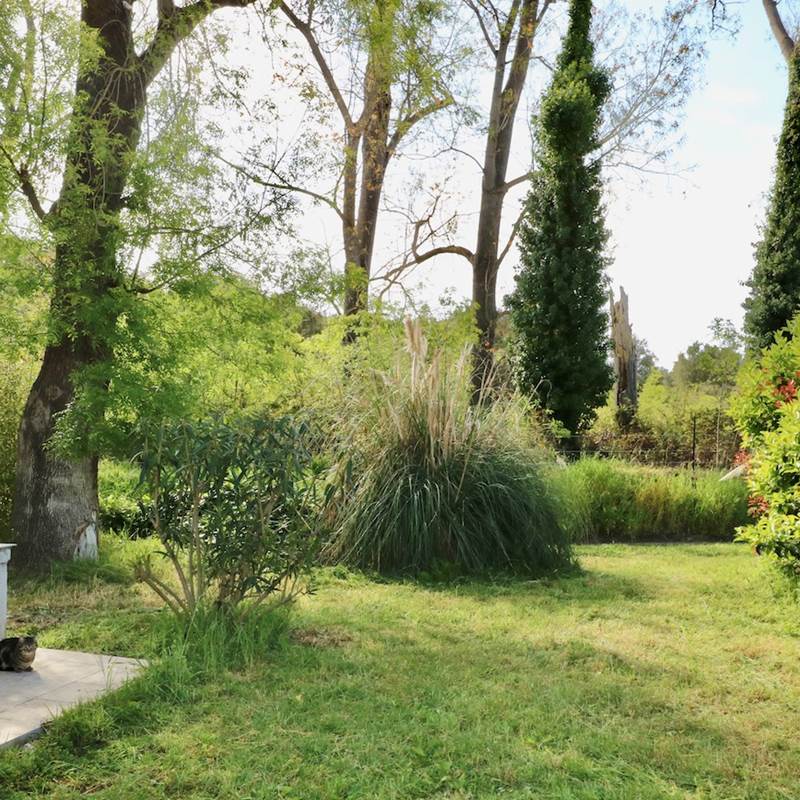 Gites Terra di a Bravona - Appartement Mamo Vue sur Jardin
