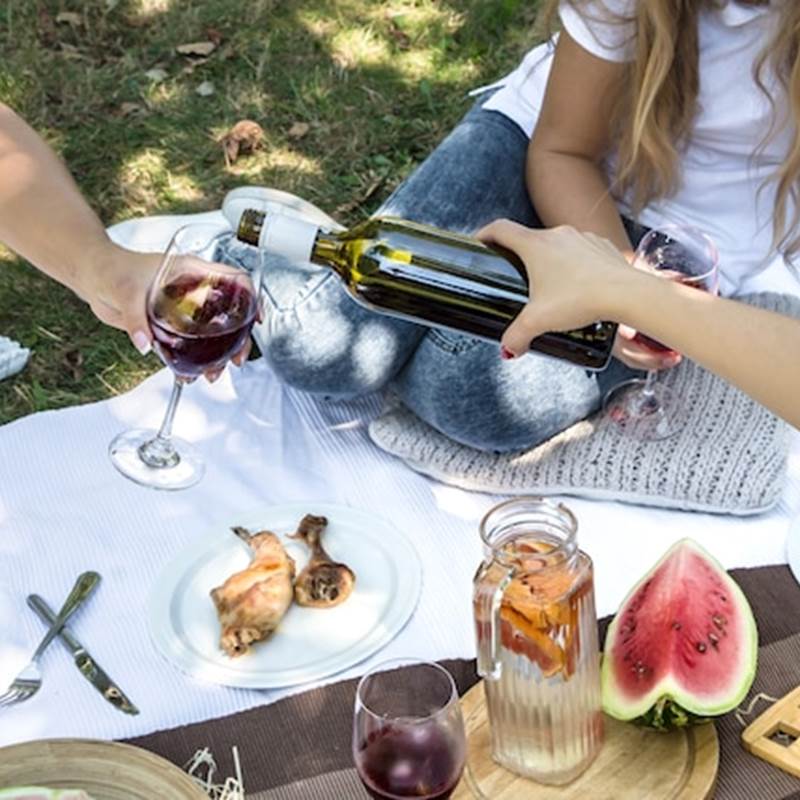 pique-nique-ete-amis-dans-nature-nourriture-boissons_169016-5776