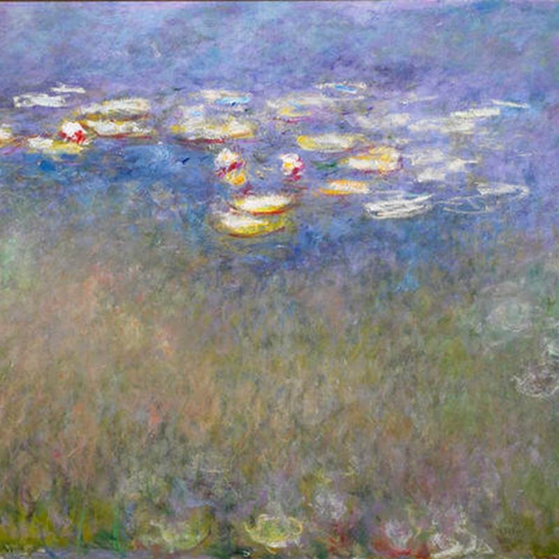 water-lilies-agapanthus-presta