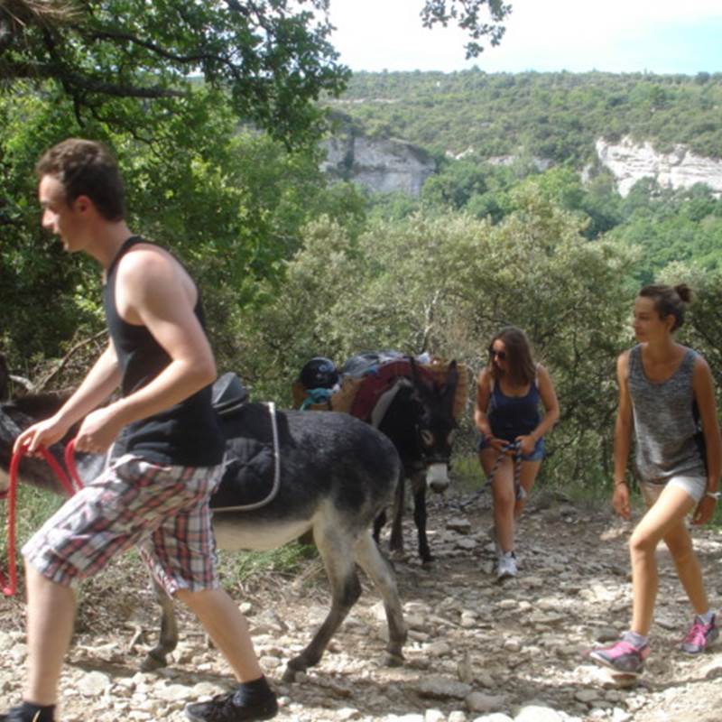 a2915752-6761-4e28-8b8e-b2c9d61de8f0-img-around