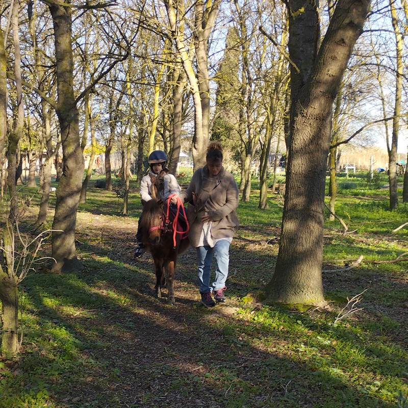 balade à poney Pyrénées-Orientales  promenade poney 66  activité enfant Pyrénées-Orientales  poney club 66  centre équestre Pyrénées-Orientales  balade à cheval 66  activité famille Pyrénées-Orientales  équitation enfant 66  balade à poney près de Perpignan  balade à poney bompas, claira, toreilles, barcares, canet en roussillon, sainte marie, Thuir, Pézilla, elne, cabestany, rivesaltes, saint estève-galerie
