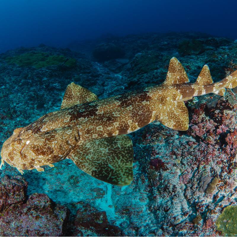 shutterstock697102075--Copie-img-around