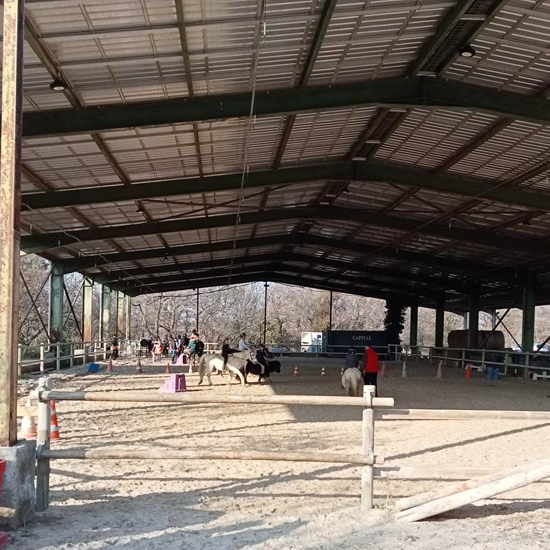 Le Mas Palegry chambres d'hôtes Perpignan - A 50 mètres du centre équestre