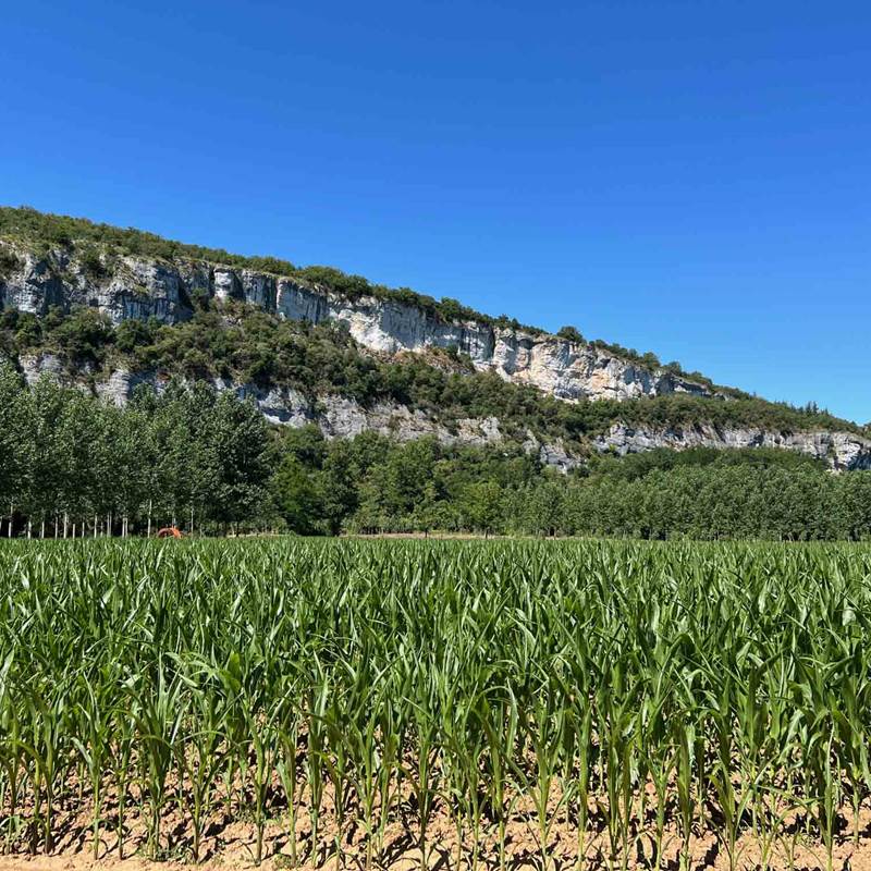 Environnement: champs et falaises