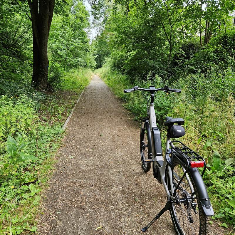location vélo valmondois 95 (5)-galerie