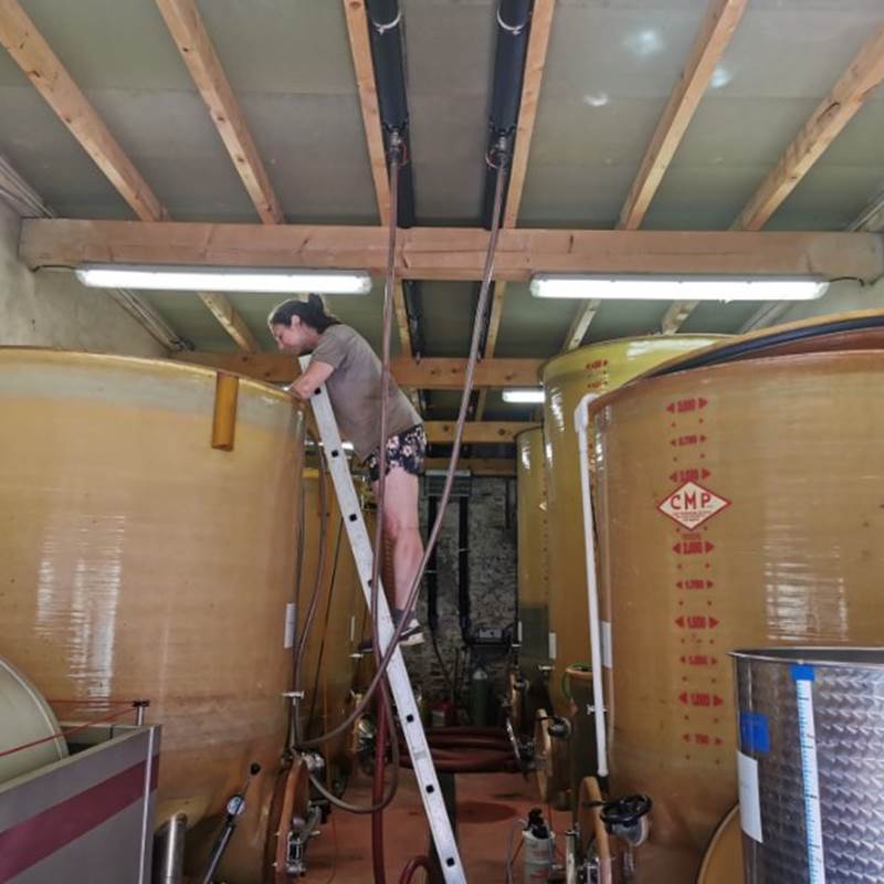 Domaine la beille Roussillon-galerie