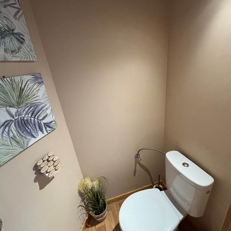 image3 (2)