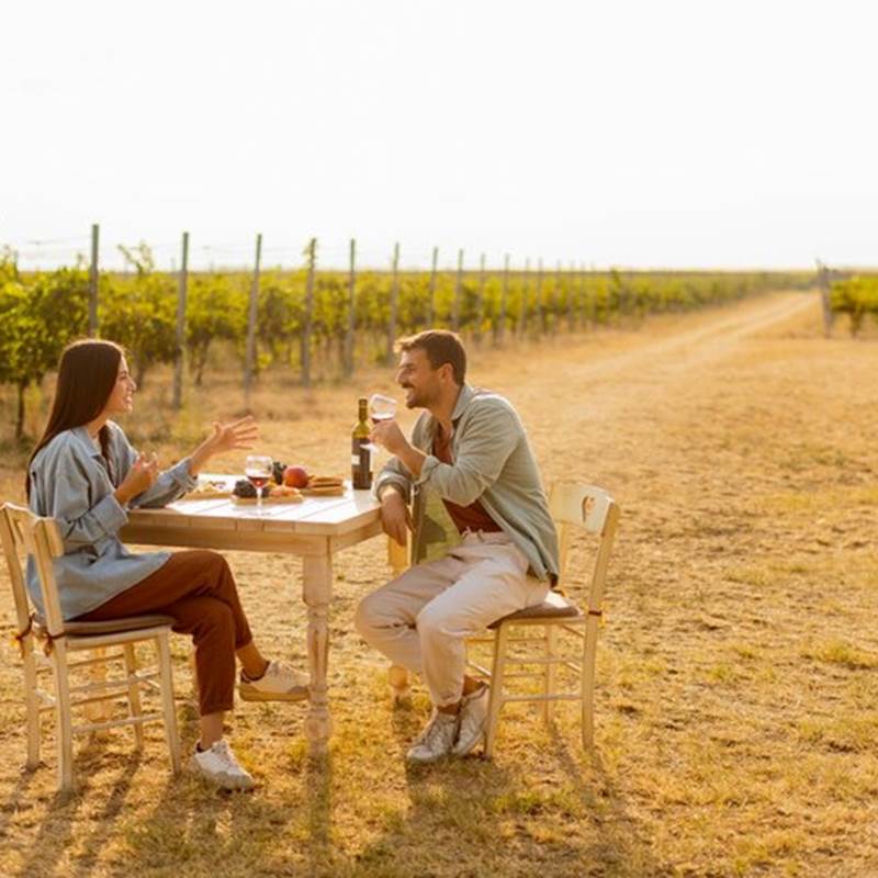 picnic-romantique-dans-vigne-ensoleillee-couple-degustant-du-vin-plat-gourmet-parmi-vignes-pendant-heure-or_52137-53218