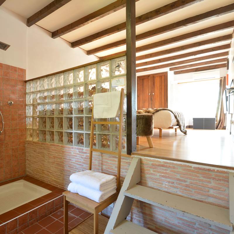 la salle de bain avec douche en open space