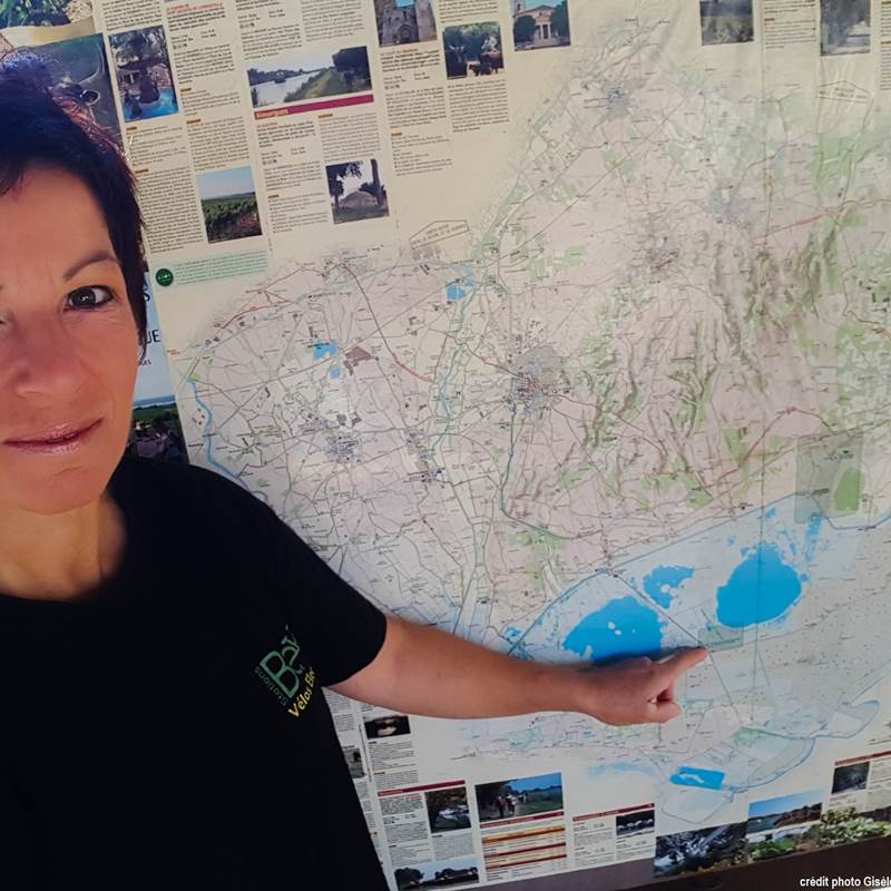 StationsBEES-gisele-galerie