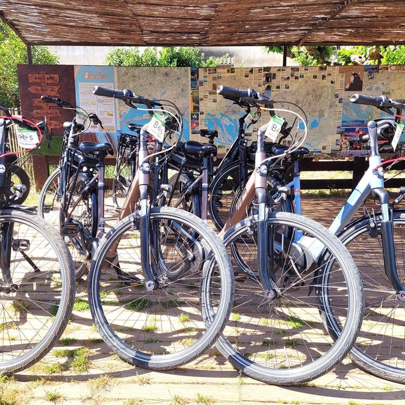 stations-bees-aigues-mortes-galerie