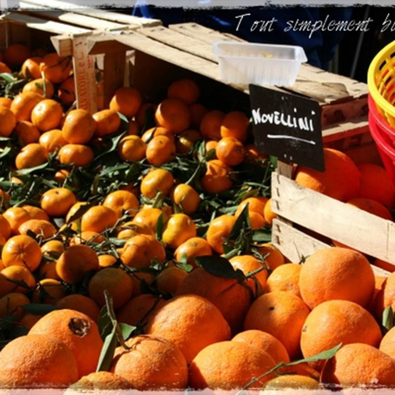 c0b52691-81b1-432e-b27a-f8b51e72d898-img-around