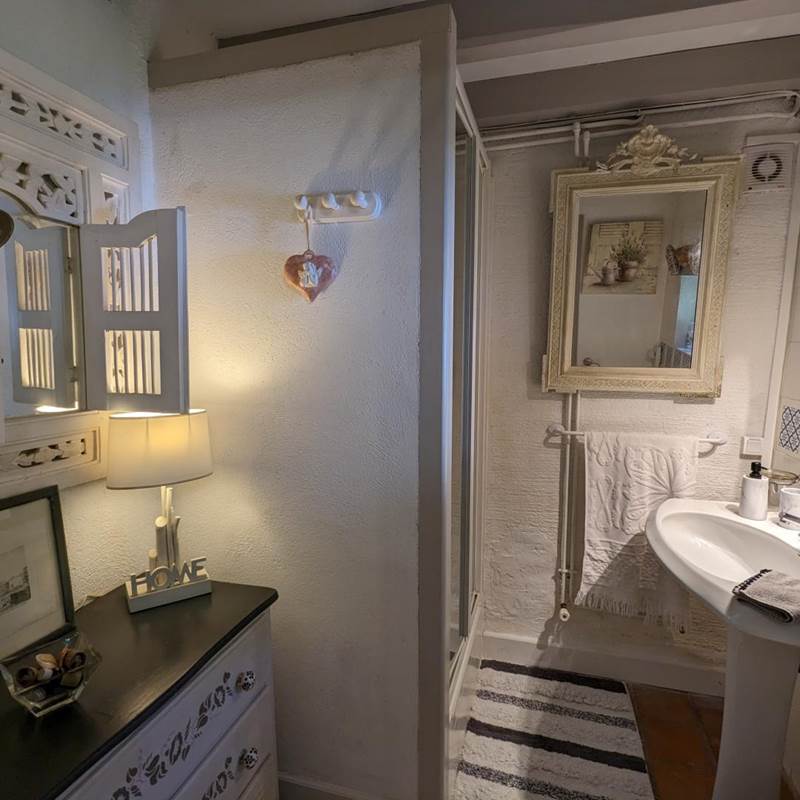 Moulin-Rouhaud-Suite-familiale-Ancolie-agapanthe-salle-d'eau