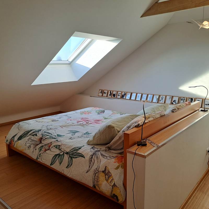 chambre oiseau