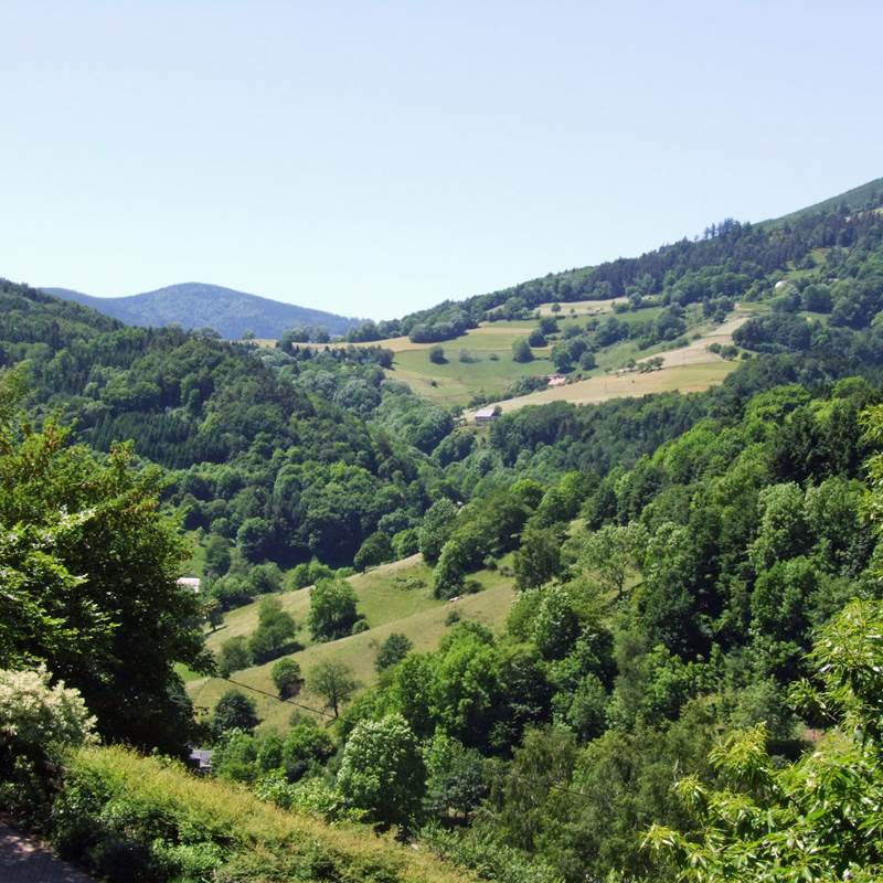 vue sur le massif des Vosges