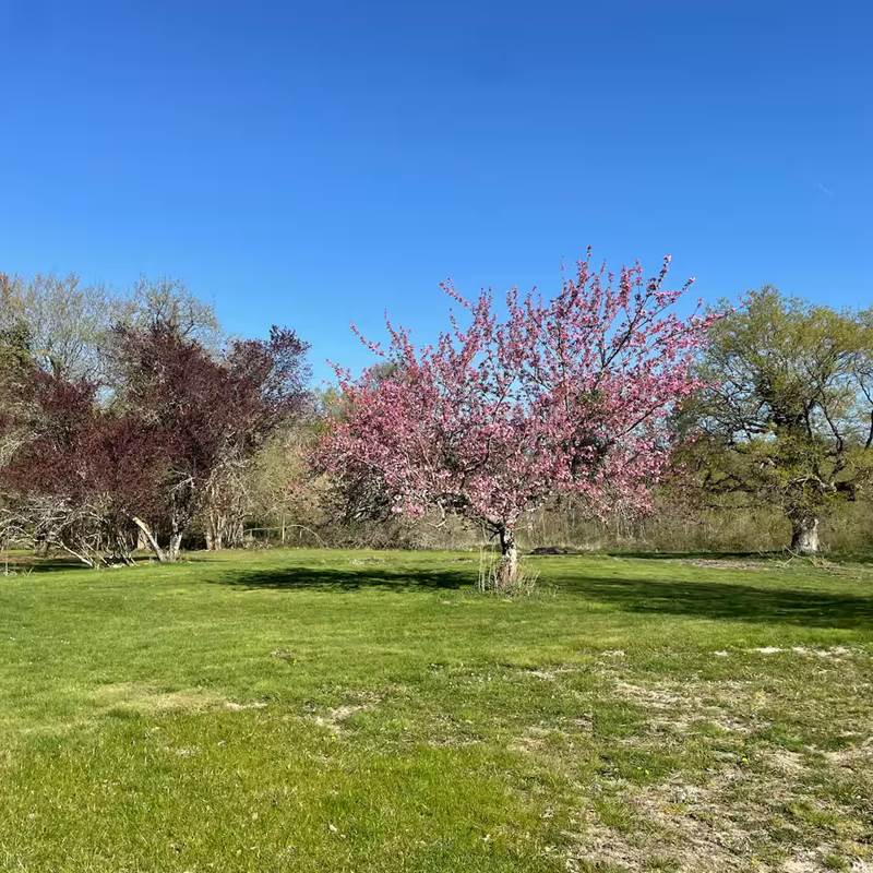 12b87165-af96-48b0-aa1d-669e06244a6e