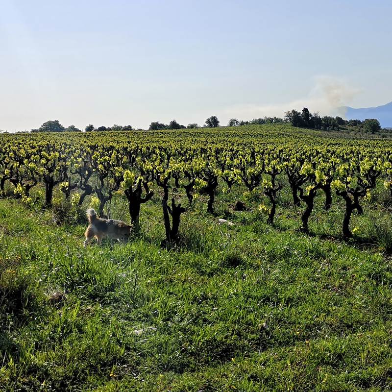 IMG_20200414_095509-galerie