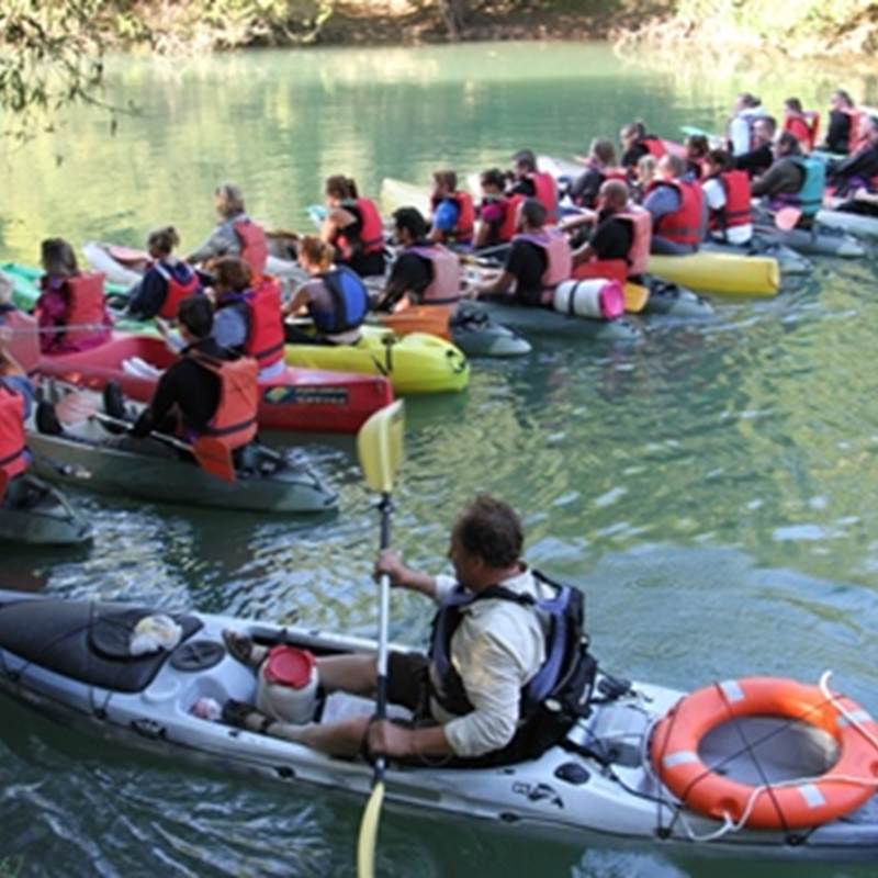 aisnepetitwebIMG_4599-galerie