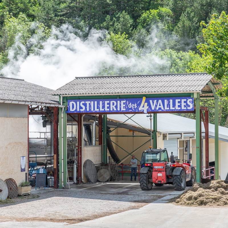 D4V_2025.07.08_Distillerie-02-galerie