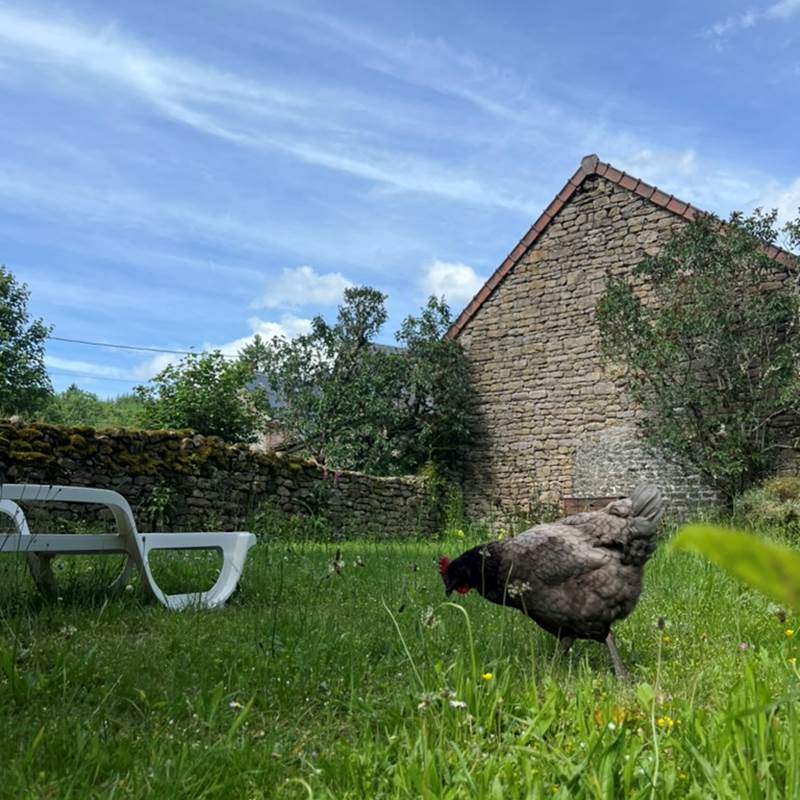 Coin jardin - Gîtes Vassivière Le Fer A Cheval