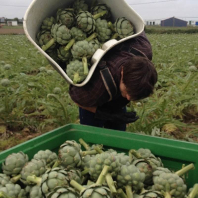 Notre exploitation-galerie