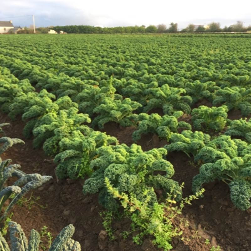 Notre exploitation-galerie