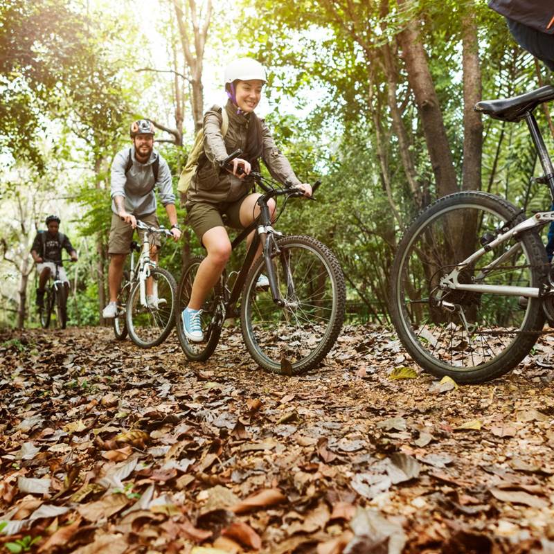 Sortie entre amis-galerie