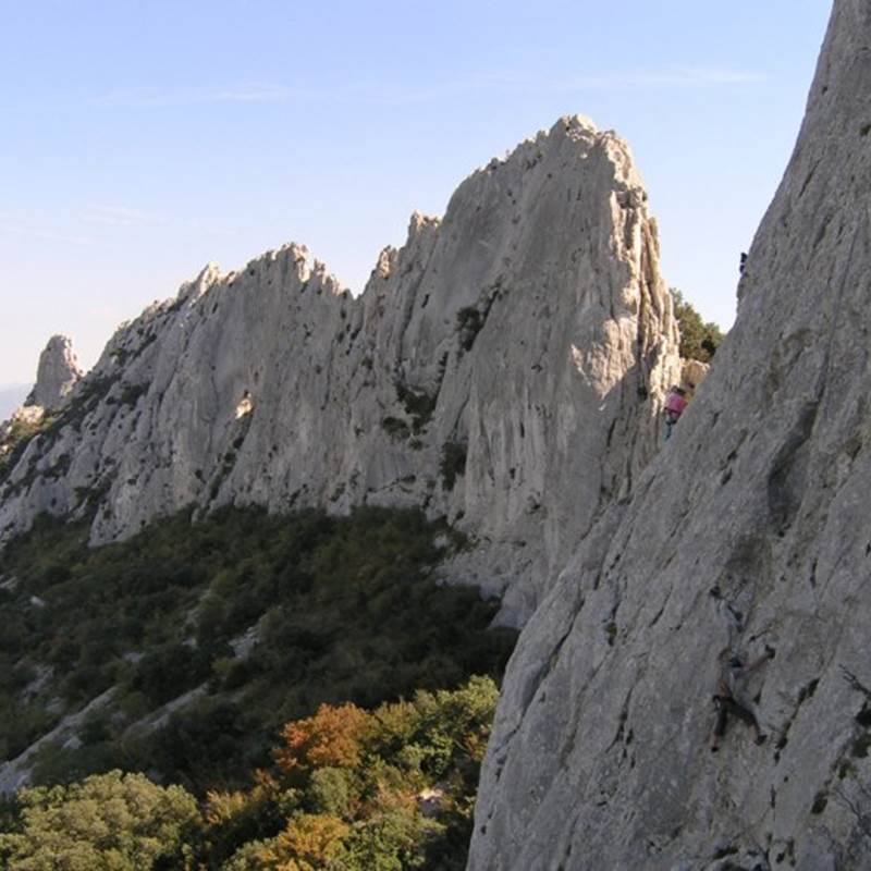 e04af1e5-61a1-40b1-8fda-ba85b9c688a2-img-around