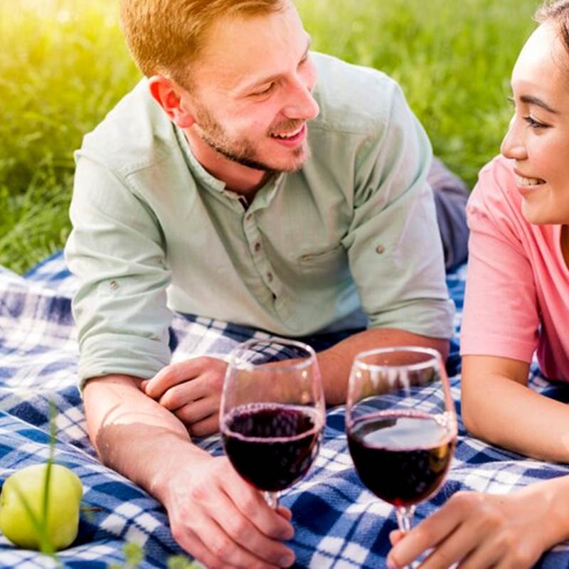 multiracial-souriant-couple-amoureux-allonge-plaid-damier-pique-nique_23-2148195882