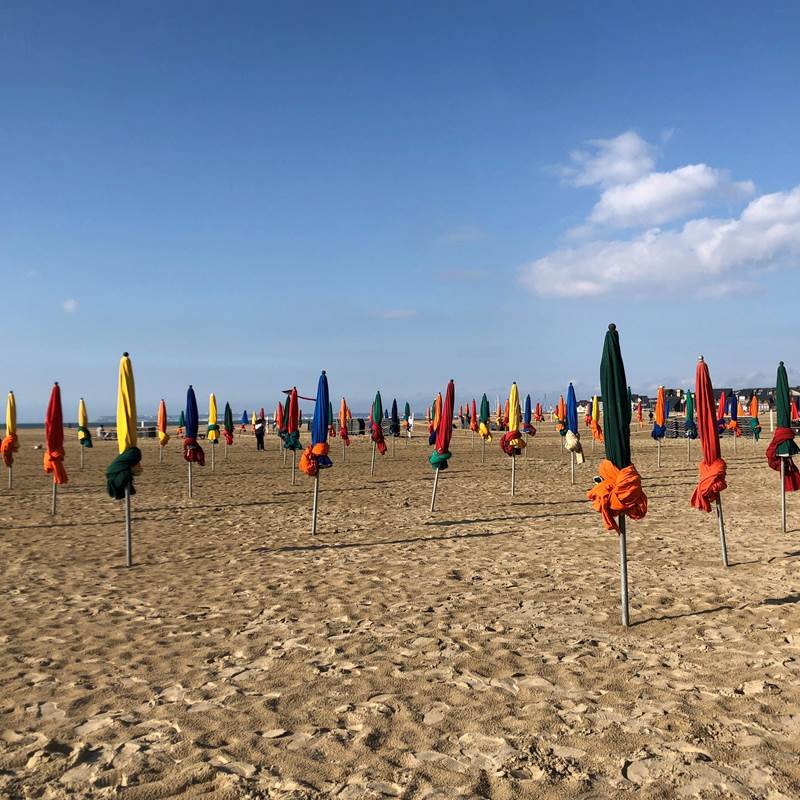 Parasols-deauville