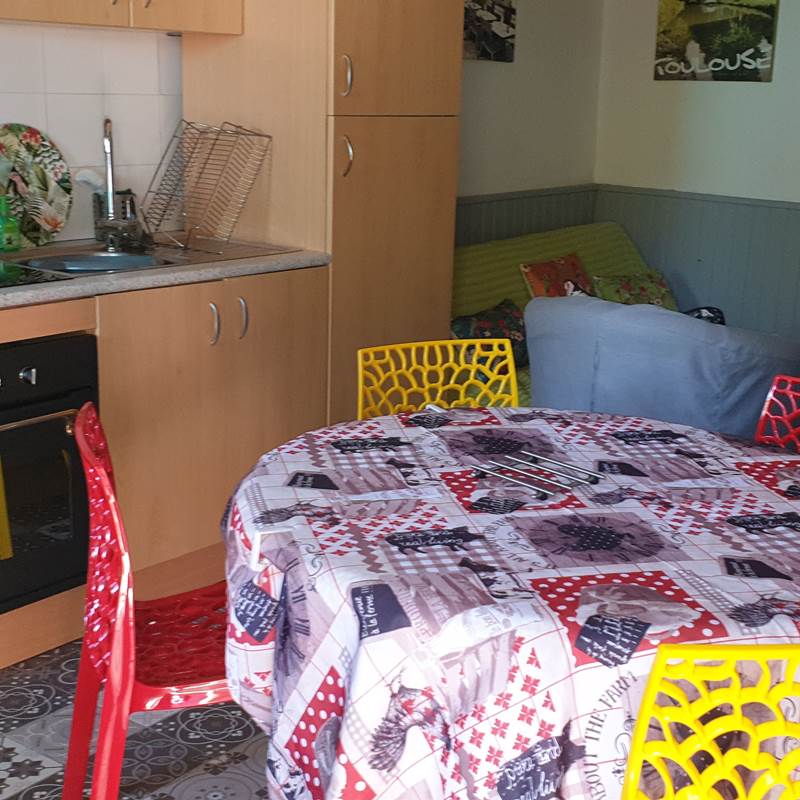 Cuisine équipée, four, micro-ondes, frigidaire, congélateur, plaque à induction, four, machine à laver, sèche-linge. Wifi, climatisation.