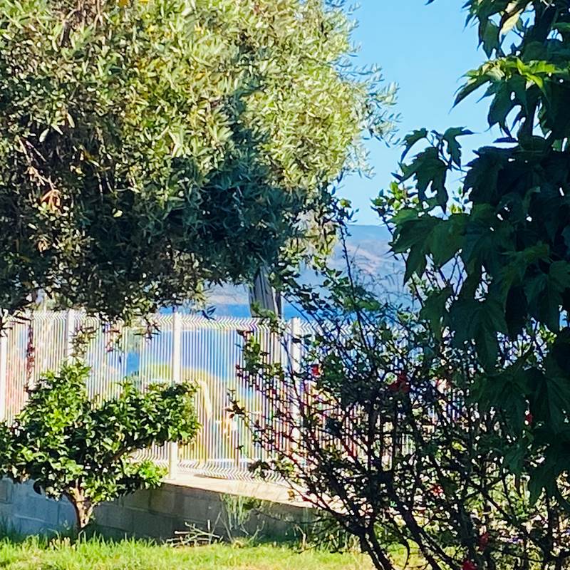Location Sagone Corse