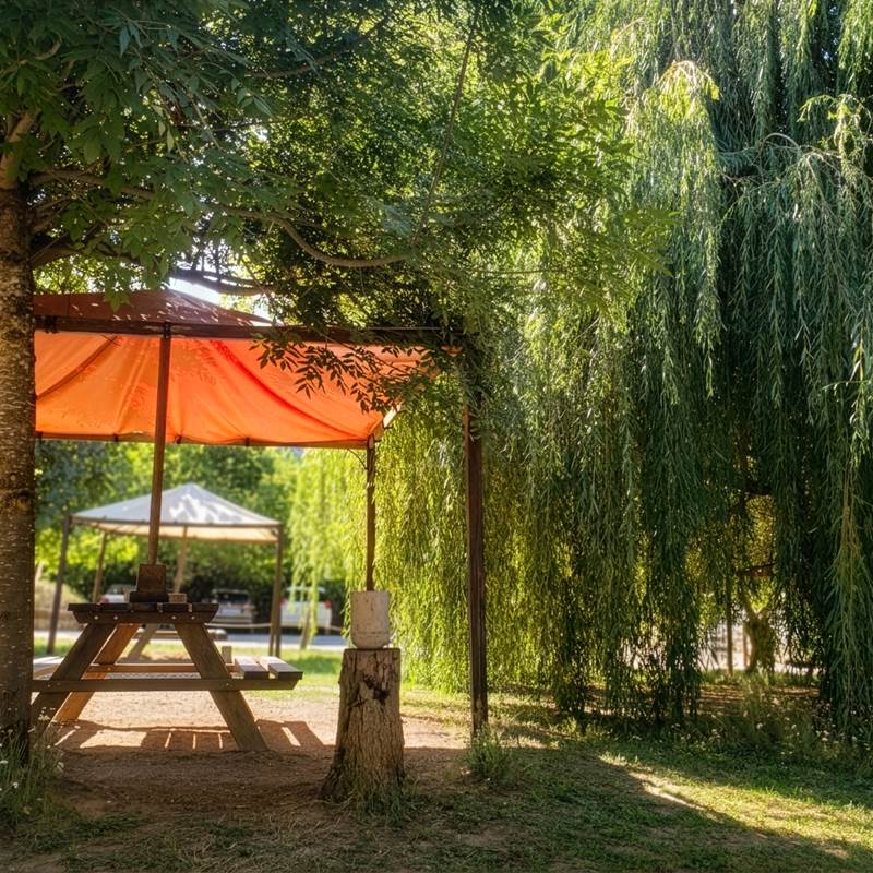 Aire de pique-nique ombragée idéale pour se détendre après une activité en rivière.-galerie