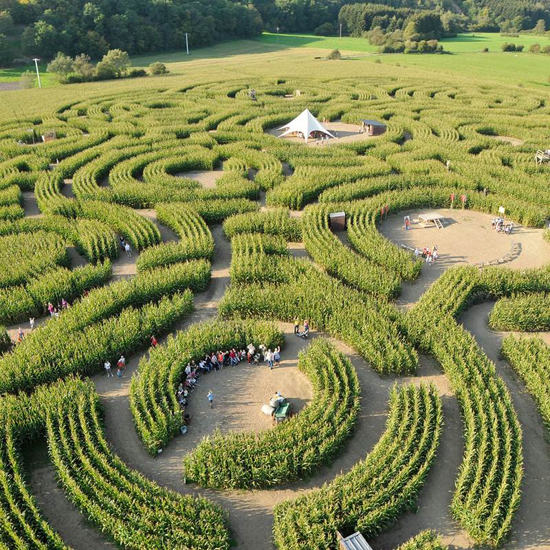 Le labyrinthe - Barvaux sur Ourhe-img-around