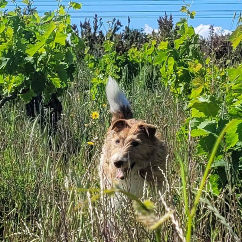 20250512_102456-galerie