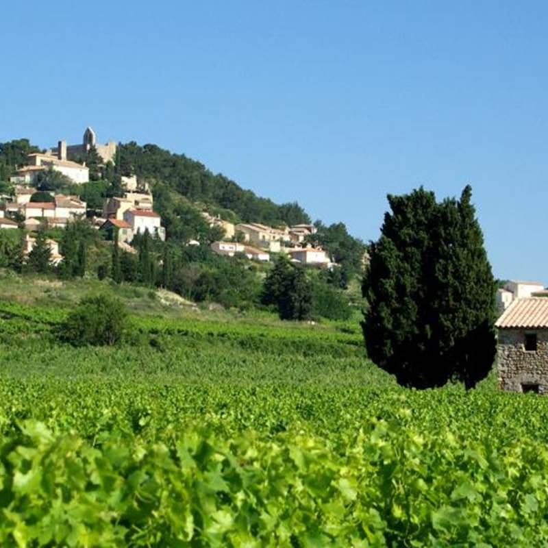 ff88853f-455f-4810-9cb6-48a2b6a0e1c3-img-around