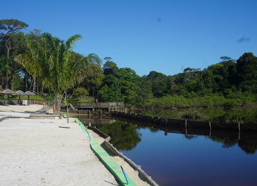 La Mangrove