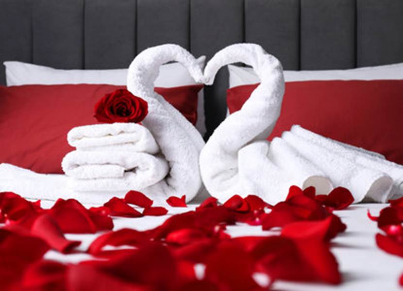 230242263-honeymoon-swans-made-with-towels-and-beautiful-rose-petals-on-bed
