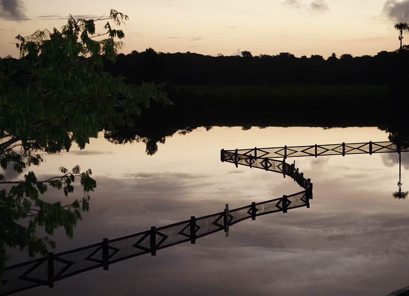 La Mangrove