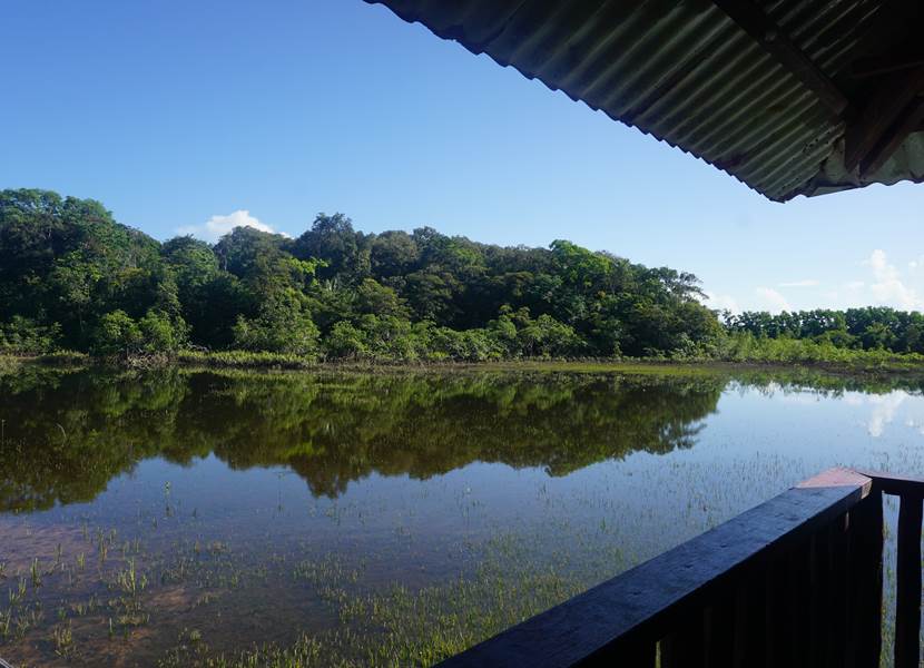 La Mangrove