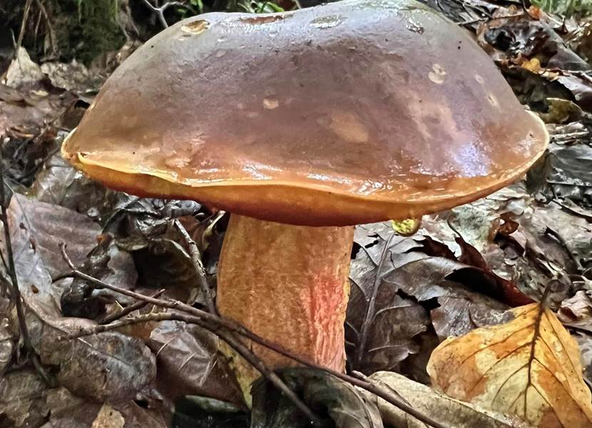 459593660_10231870369760095_2434730318125841251_n