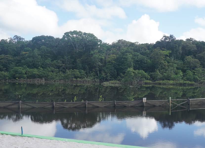 La Mangrove