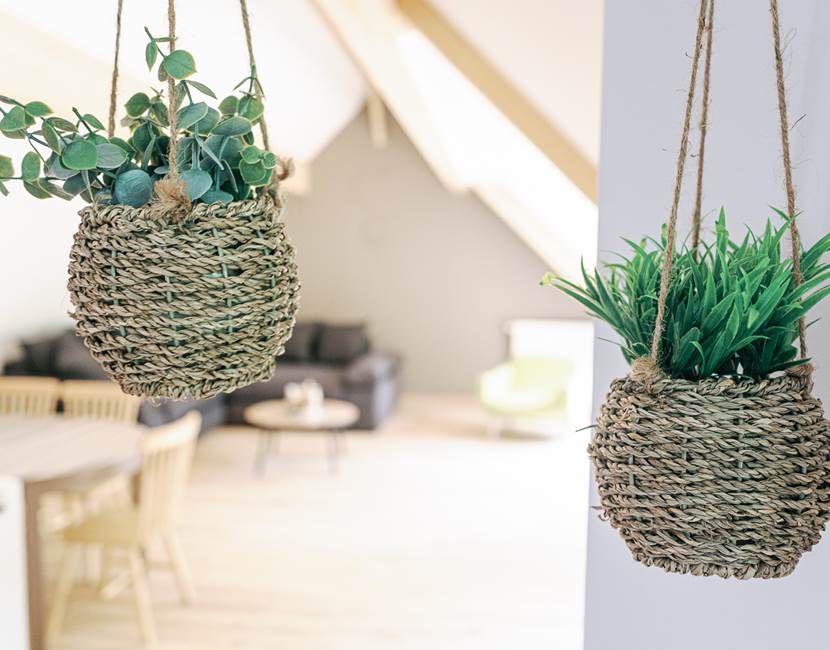 décoration / decor